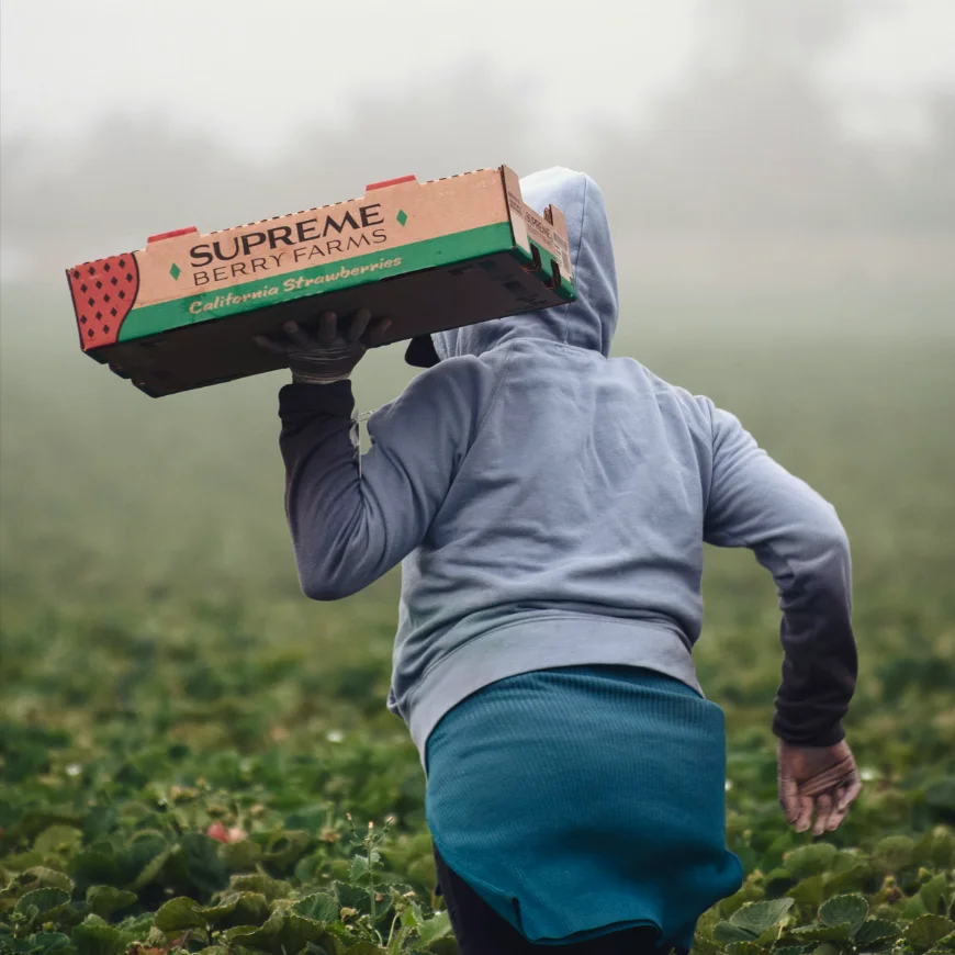 Understanding Human Trafficking