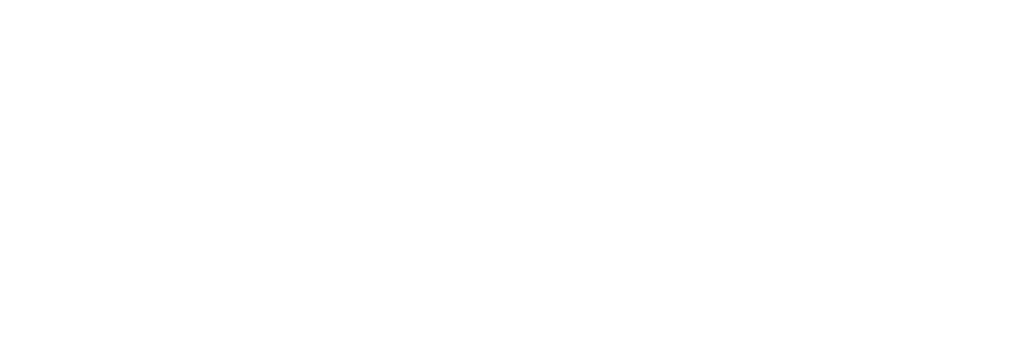 Libertas Council Logo White